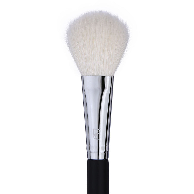 Pro Arte Blush Brush-2