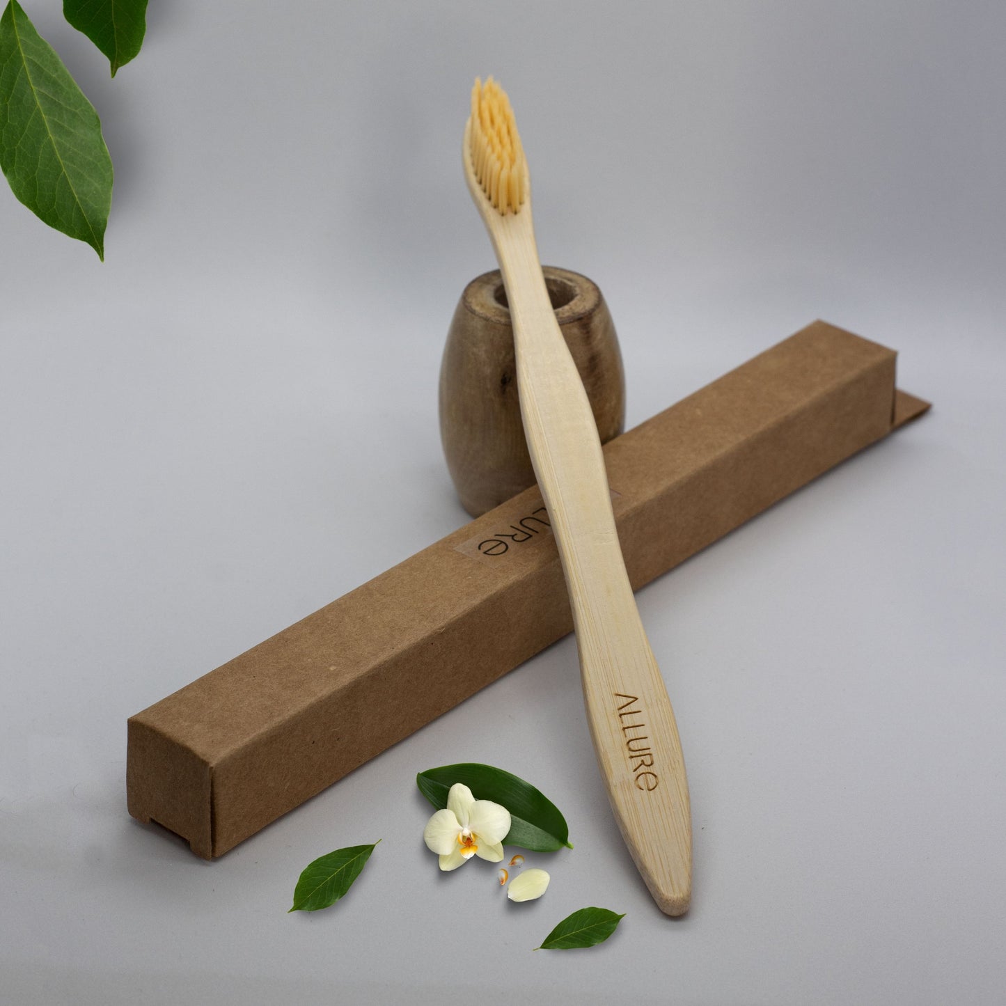 Allure Bamboo Toothbrush with Wooden Toothbrush stand 
