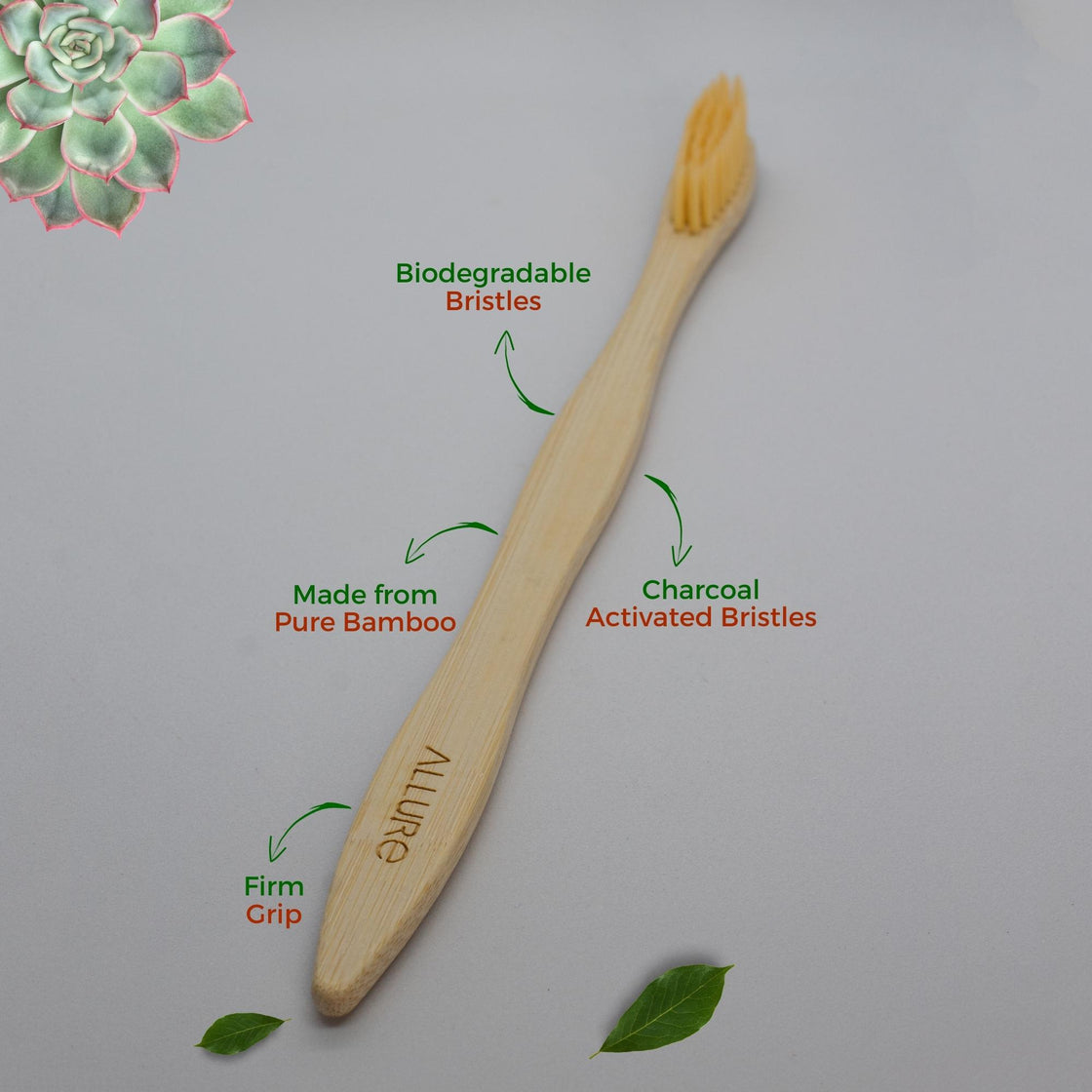 Allure Bamboo Toothbrush with Wooden Toothbrush stand 