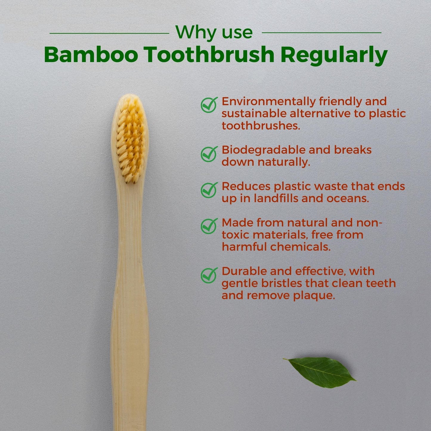 Allure Bamboo Toothbrush (OT-02)