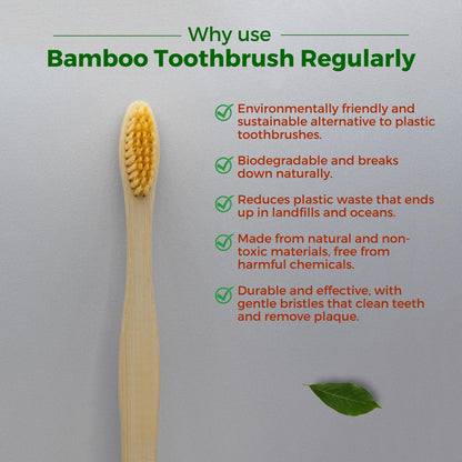 Allure Bamboo Toothbrush (OT-02)