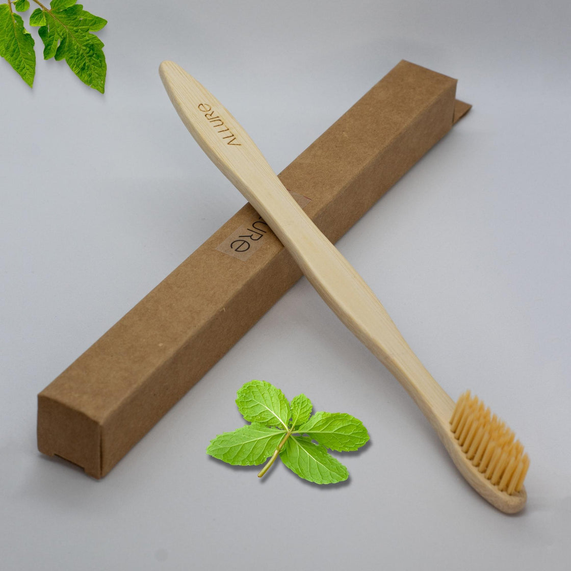 Allure Bamboo Toothbrush (OT-02)