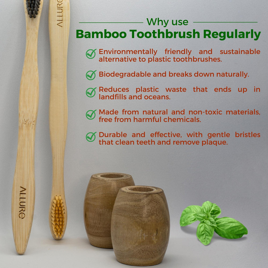 Allure Bamboo Toothbrush and wooden toothbrush Stand (Pack of 2)