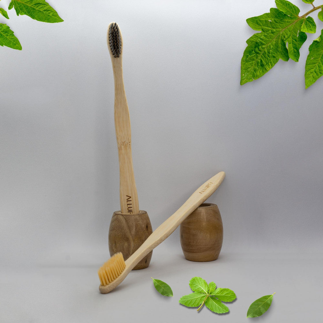 Allure Bamboo Toothbrush and wooden toothbrush Stand (Pack of 2)