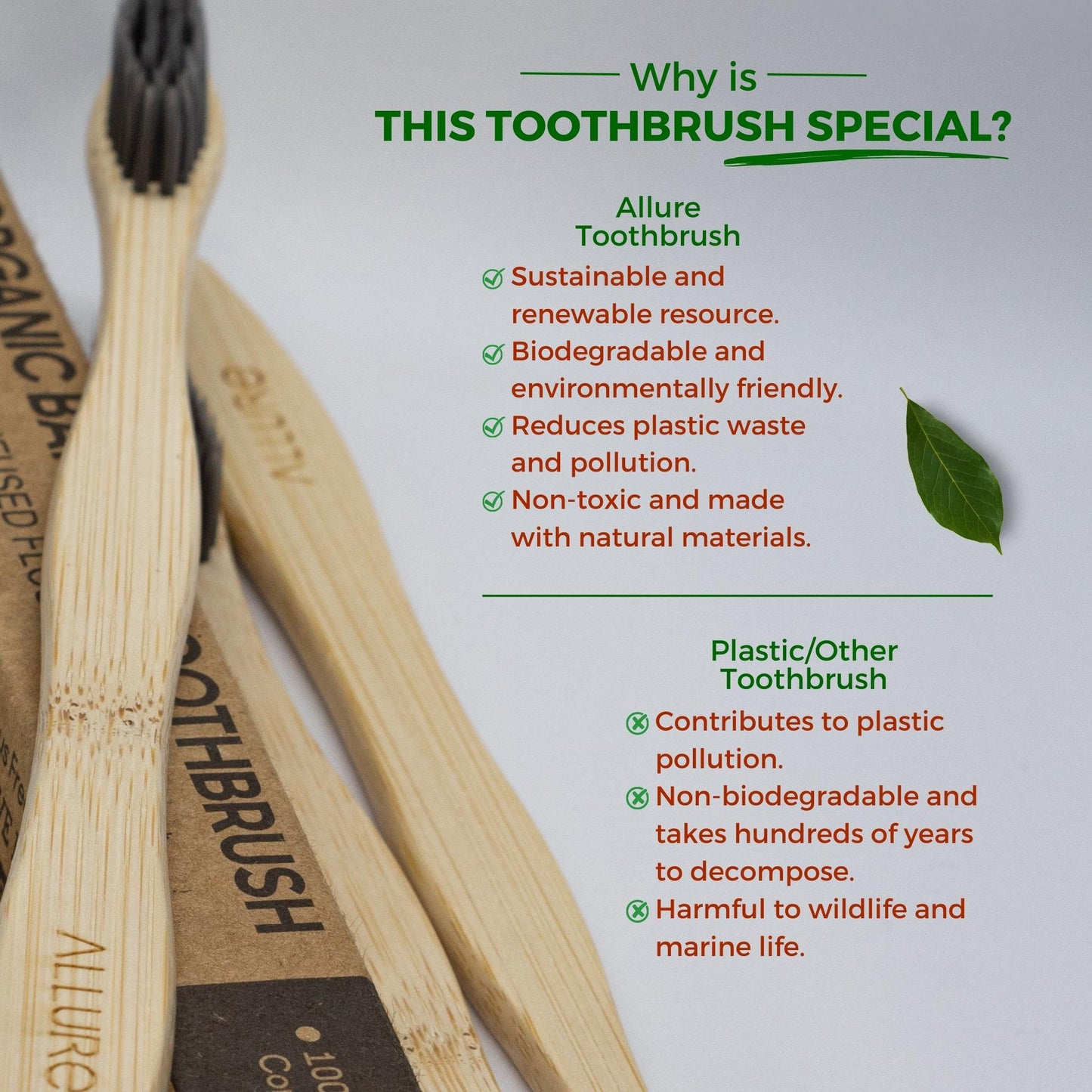 Allure Bamboo Toothbrush with Wooden Toothbrush stand