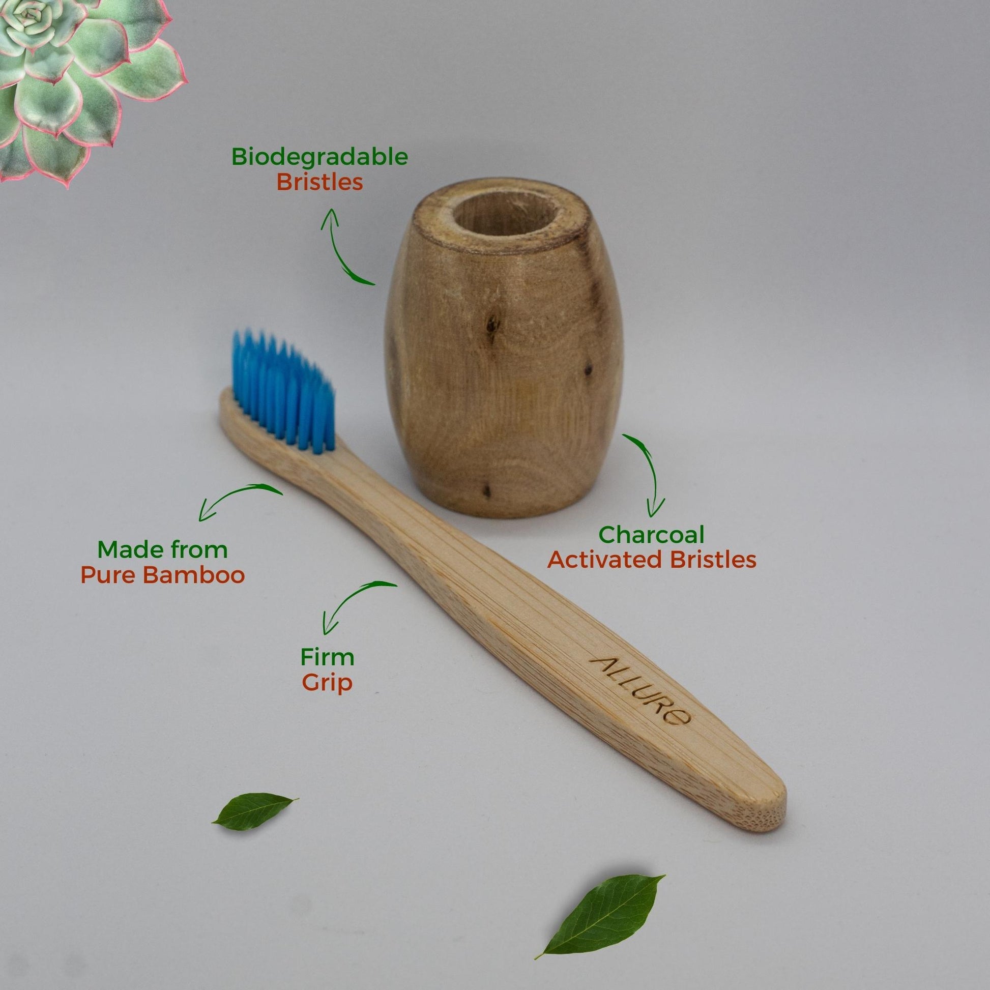 Allure Bamboo Toothbrush with Wooden Toothbrush stand