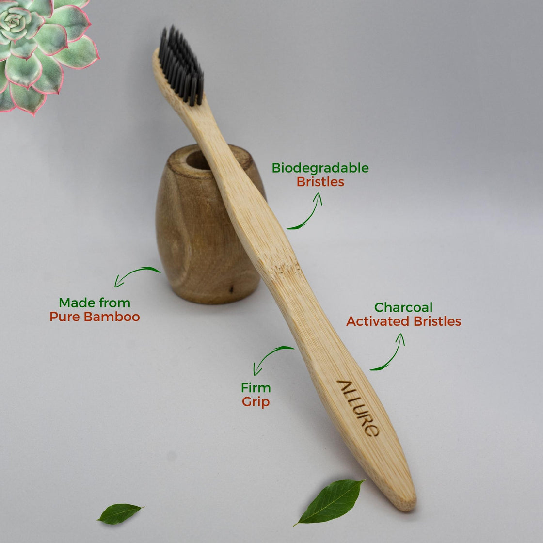 Allure Bamboo Toothbrush with Wooden Toothbrush stand (OT-01 + OTS)