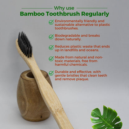 Allure Bamboo Toothbrush with Wooden Toothbrush stand (OT-01 + OTS)