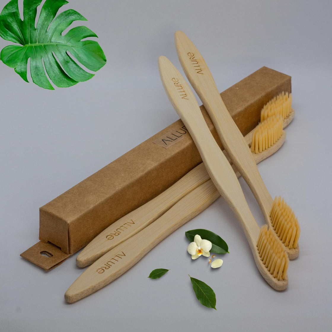 Allure Bamboo Toothbrush Pack 4 (OT-02)