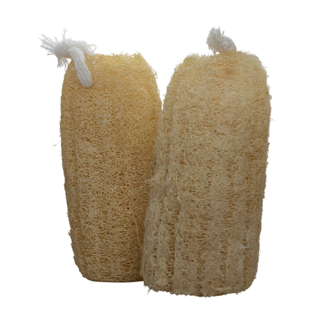 Allure Natural Loofha (Pack of 2)