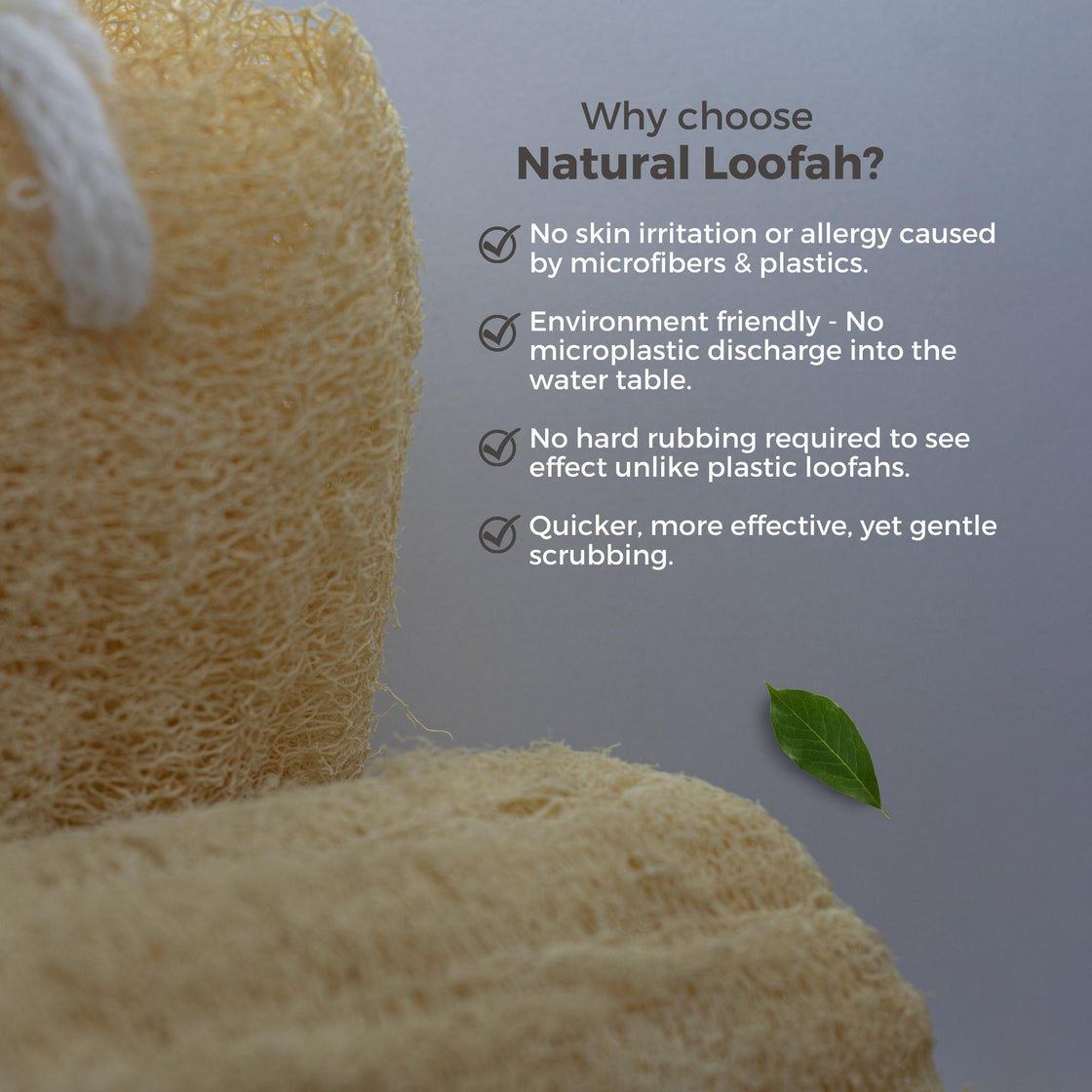 Allure Natural Loofha (Pack of 2)