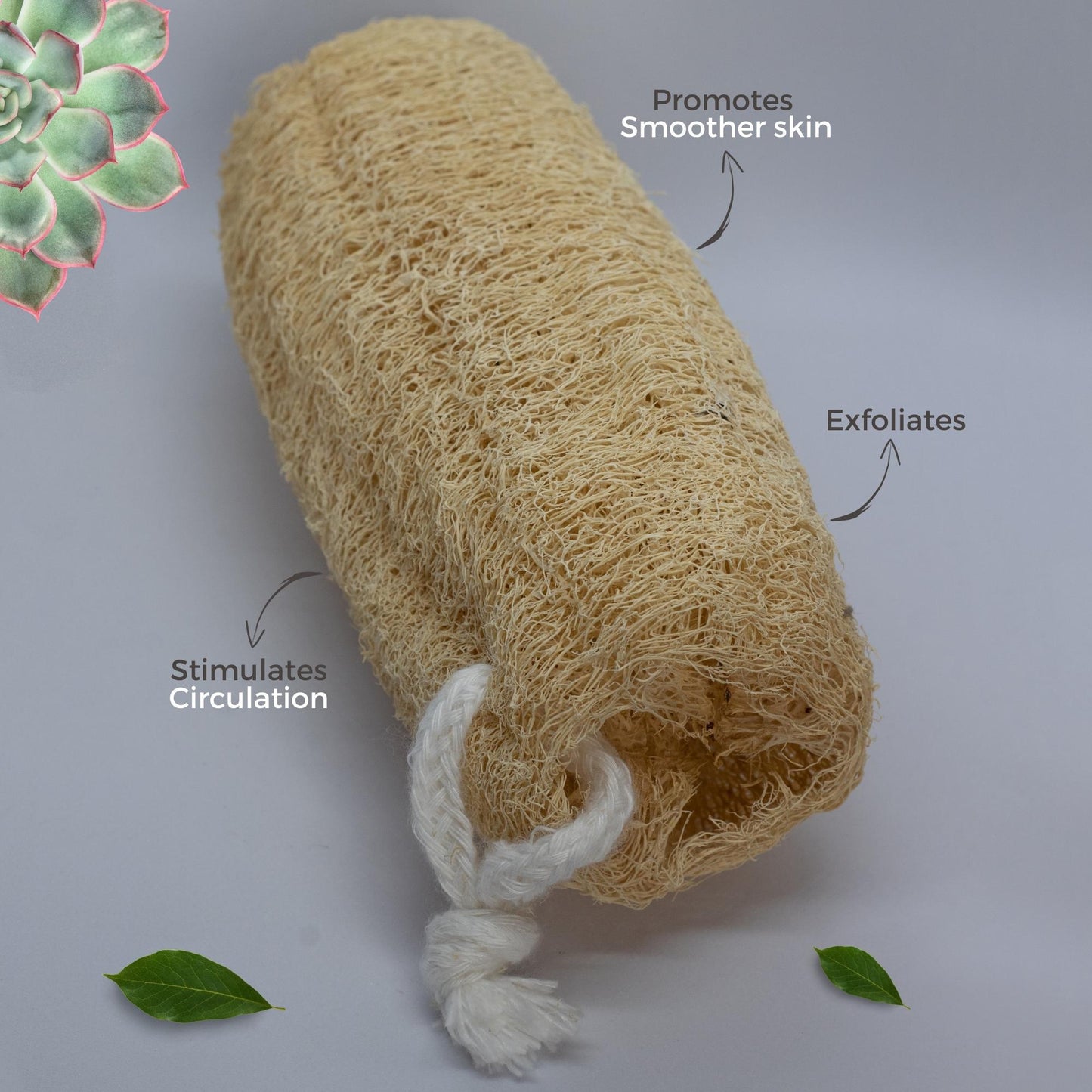 Allure Natural Loofha B-Natural loofha
