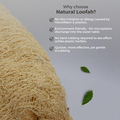 Allure Natural Loofha B-Natural loofha