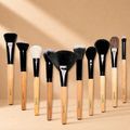 Allure Classic Makeup Brush Set of 10 (ACKF-10)