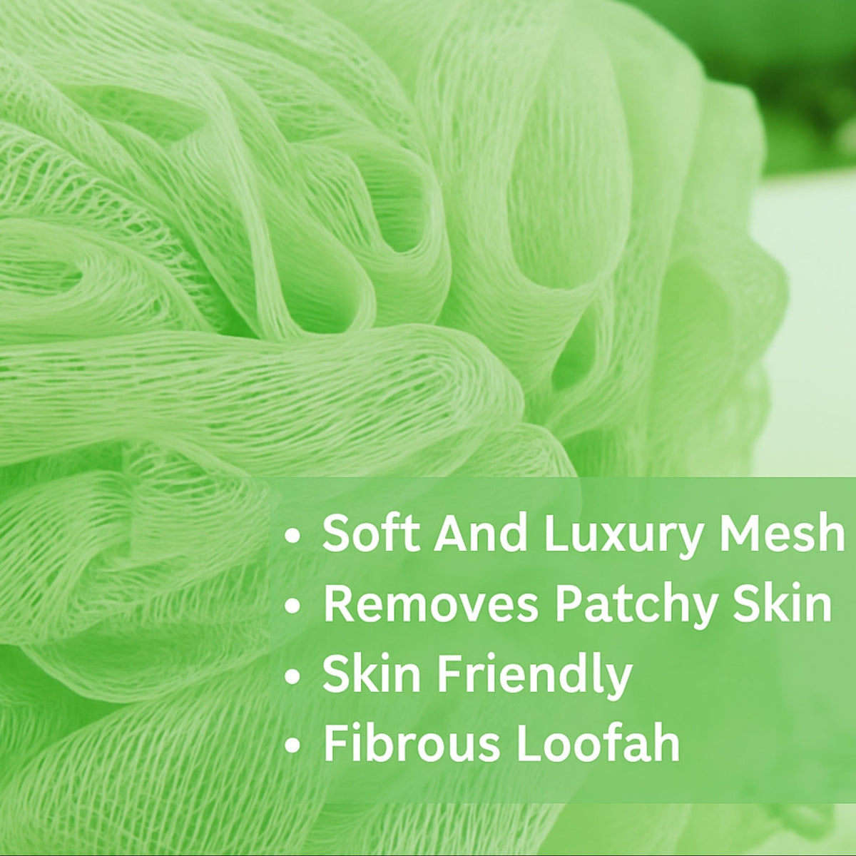 Allure Bathing Sponge Loofah - Pack of 2 L Size Assorted Color Loofhas