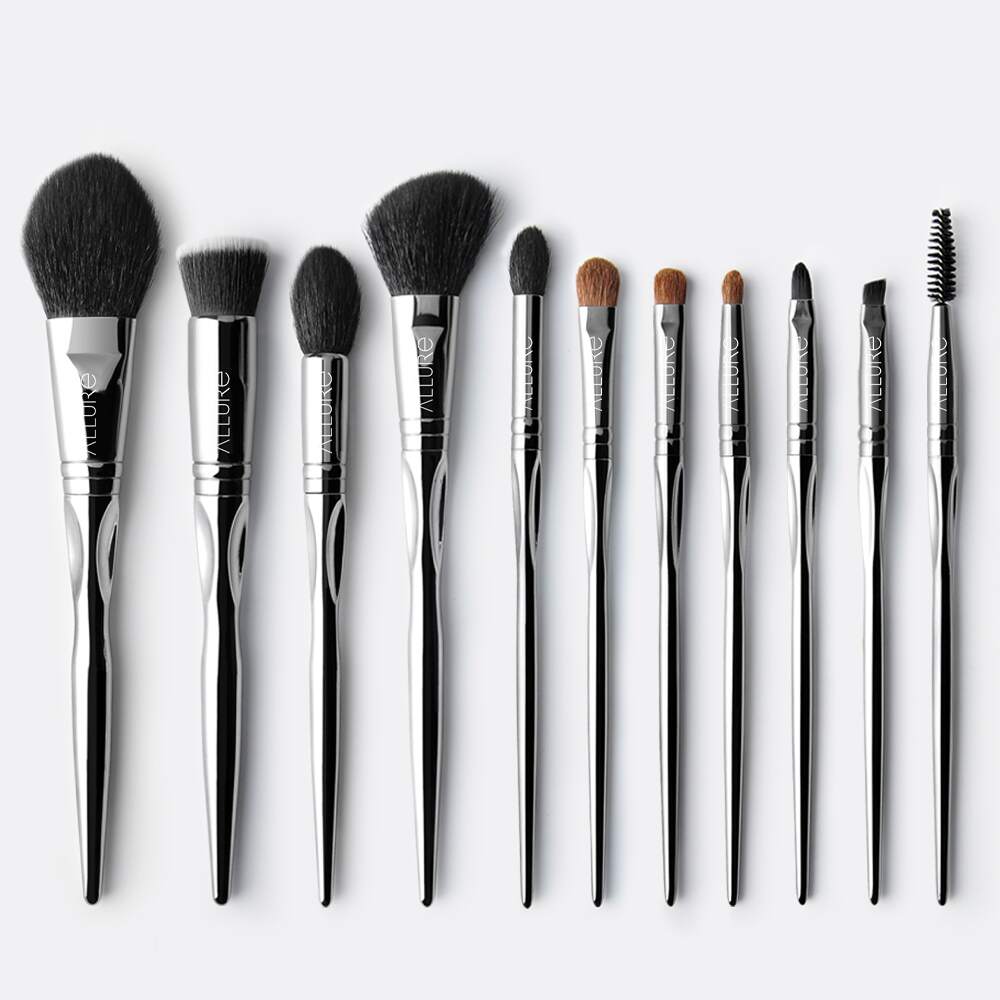Allure Professional Makeup Brush Set With Makeup Brushes Bag (Pack Of 11)