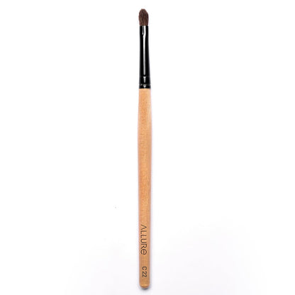 Allure Classic Makeup Brush ( Lip Filler Brush C-22)