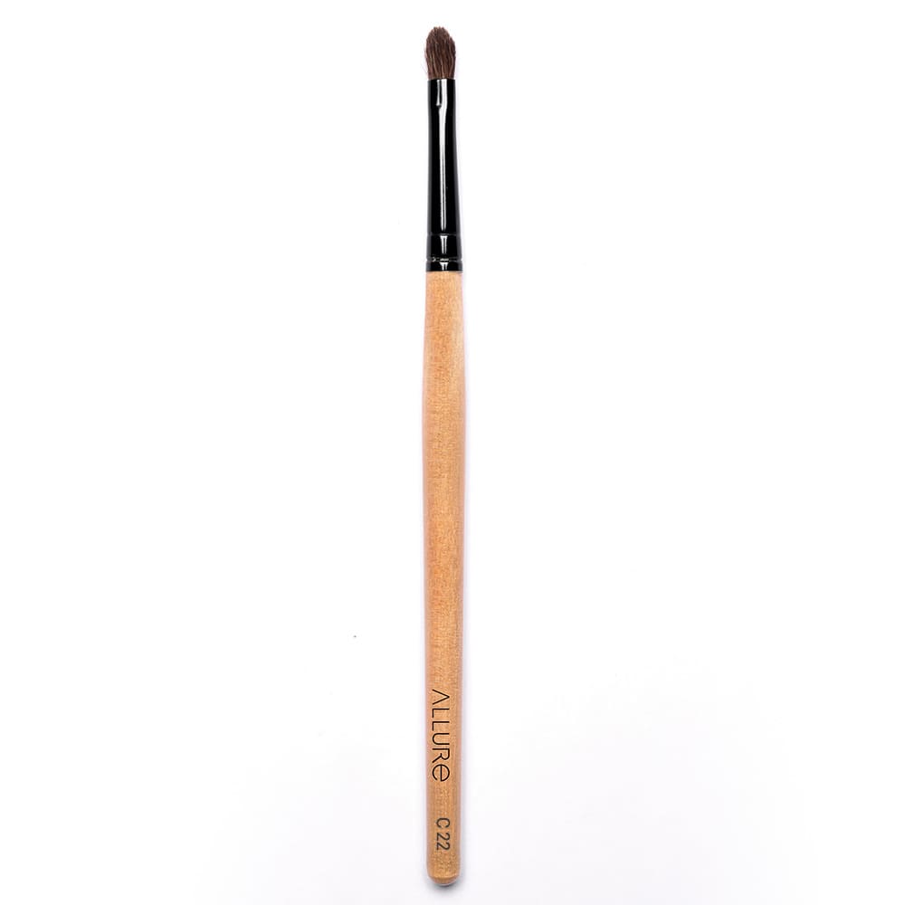 Allure Classic Makeup Brush ( Lip Filler Brush C-22)