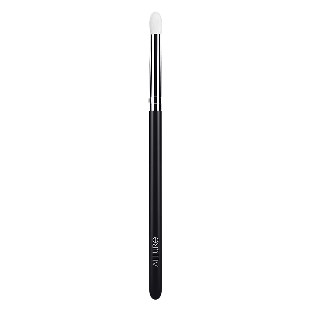 Allure Professional Makeup Brush ( Pencil - 231)