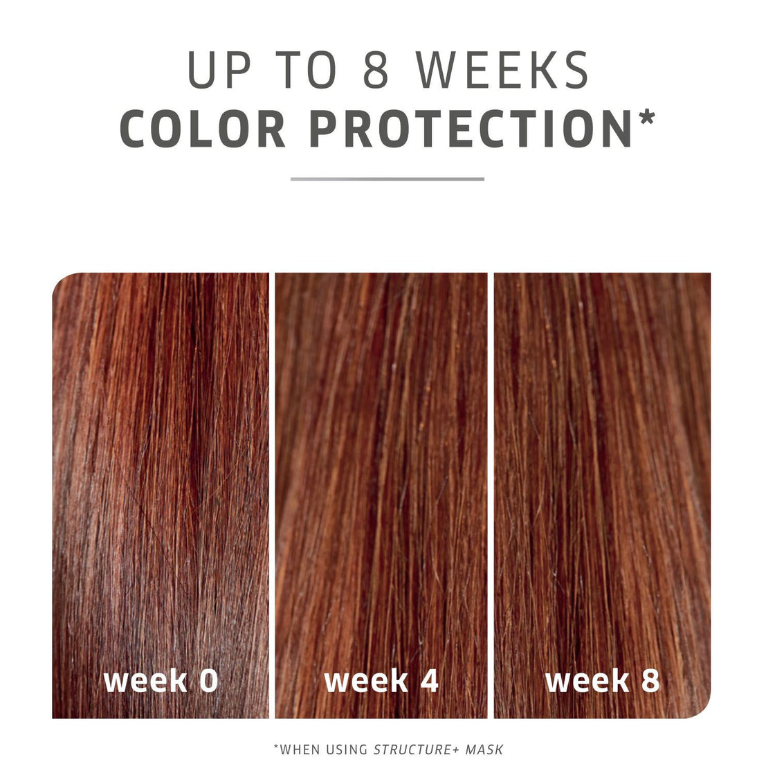 Wella Professionals ColorMotion+ Color Protection Shampoo (250ml)