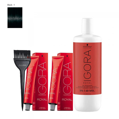 Schwarzkopf Igora Hair Color 1-0 Black 2pcs + Developer and Allure Dye Brush HD-01 Combo