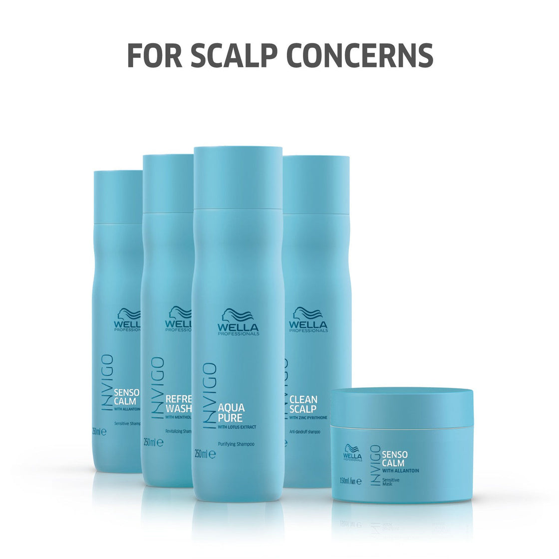 Wella Professionals INVIGO Clean Scalp Anti Dandruff Shampoo (250ml)
