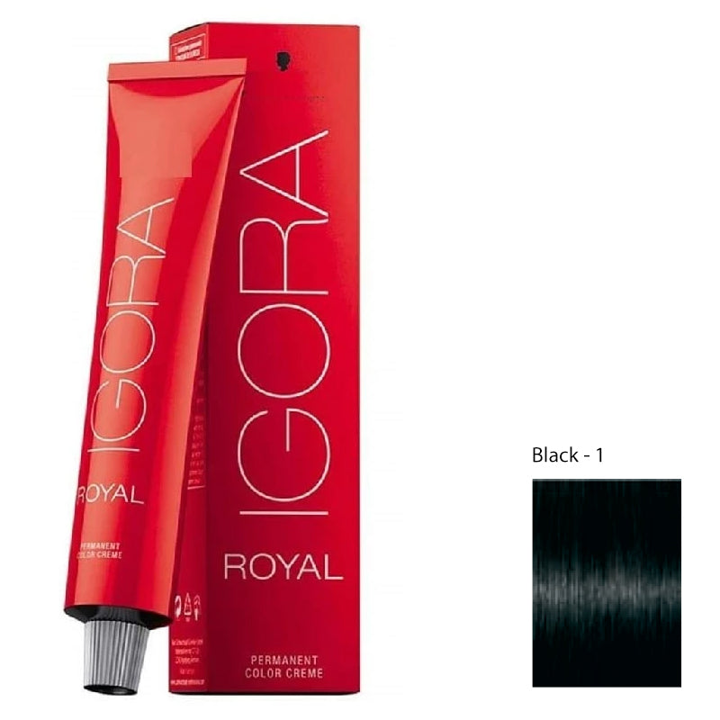 Schwarzkopf Igora Hair Color 1-0 Black 2pcs + Developer and Allure Dye Brush HD-01 Combo