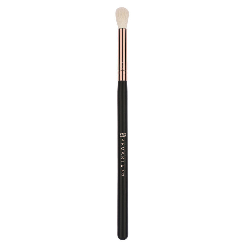 Pro Arte Eye Blender Brush (Ae-24)