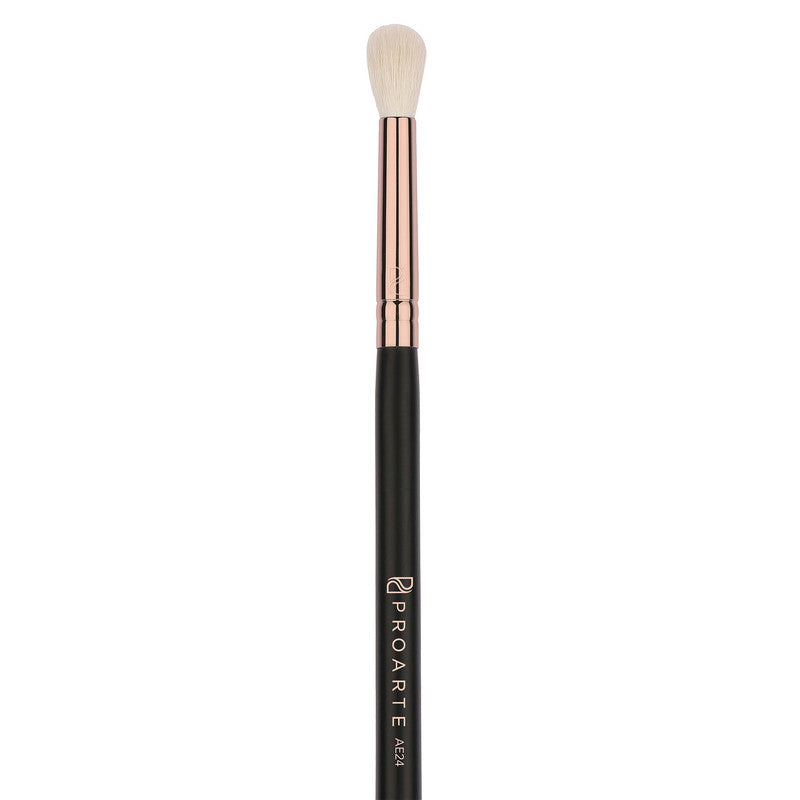 Pro Arte Eye Blender Brush (Ae-24)-2