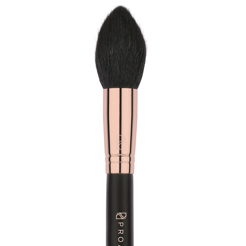 Pro Arte Face Tapered Brush (Af04)-2