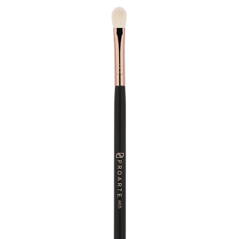 Pro Arte Flat Blending Brush (Ae25)-2