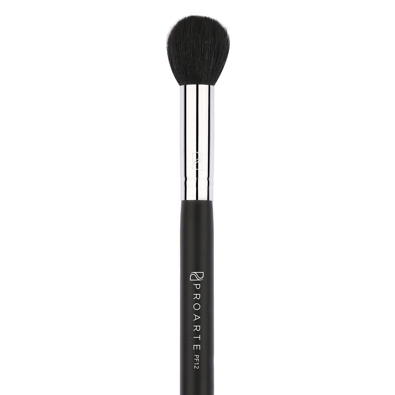 Pro Arte Focused Blush Brush (Pf12)-2