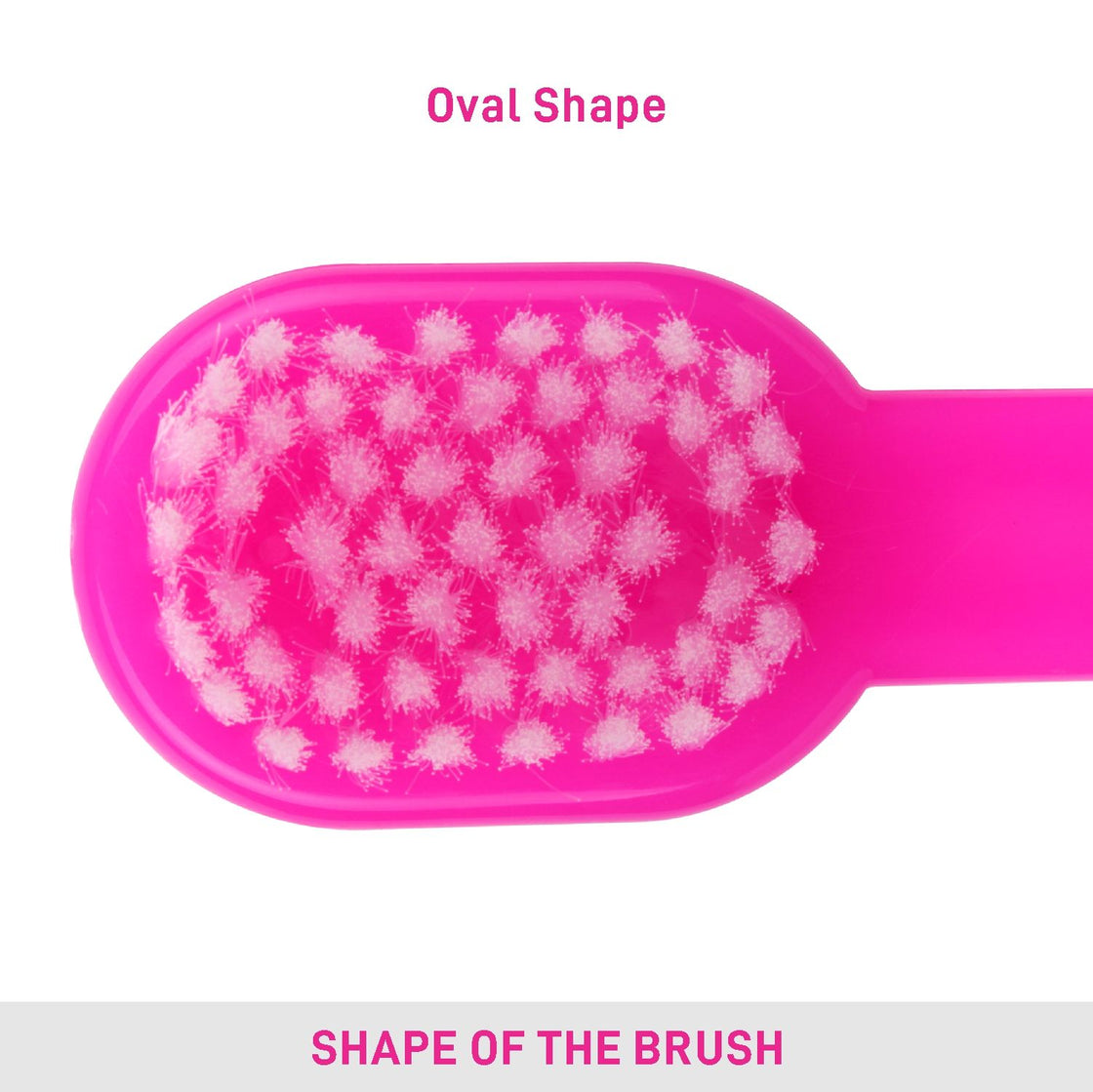 Vega Baby Brush (9958) (Color May Vary)-3