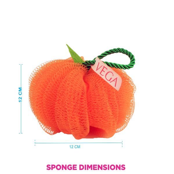 Vega Bath Sponge (Ba-3/10) (Colour May Vary)-6