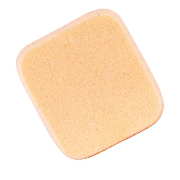 Vega Make-Up Foundation Sponge (Nbrs)