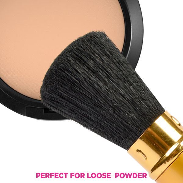 Vega Powder Brush - Rt (Ev-20Rt)-4