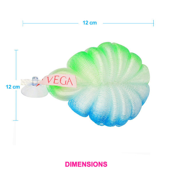 Vega Sponge (Ba-3/3)-6